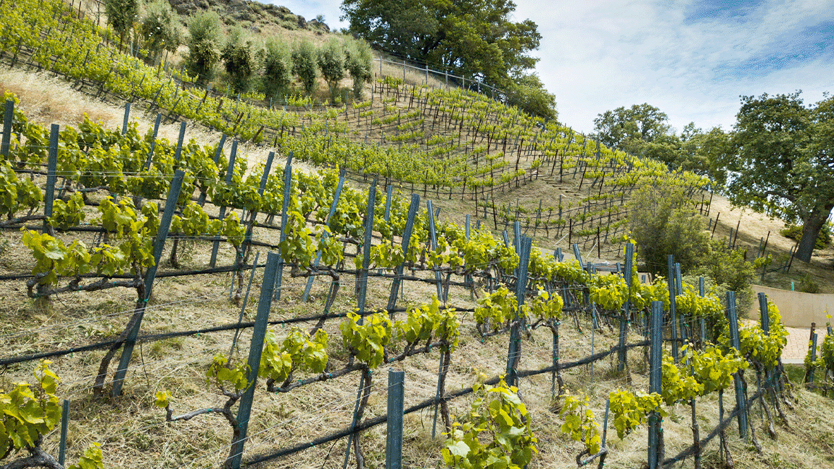 A rotating group of images depicting the variety of work Mixed Bag Media produced in 2023.